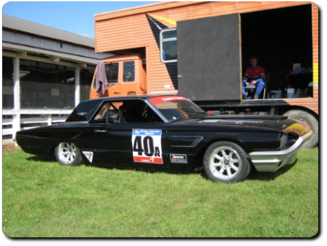 manfield 2009